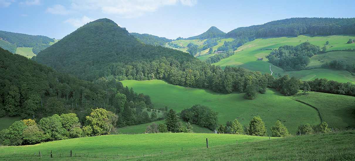 Kloster Schönthal 1145